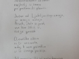 Moja domovina - Lucija Dervarič