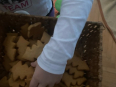 ČAJANKA4