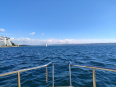 IMG_20260507_153515