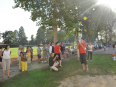 dsc_0054-large