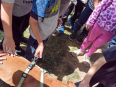 IMG_20260505_125040
