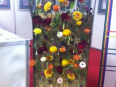 photo-2
