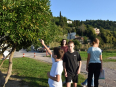 Slika12