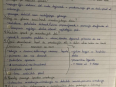 orientacija 2020 (17)