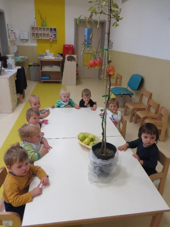 zdravje_17-18_1 zdravje_17-18_1