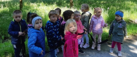 zdravje 4 zdravje 4